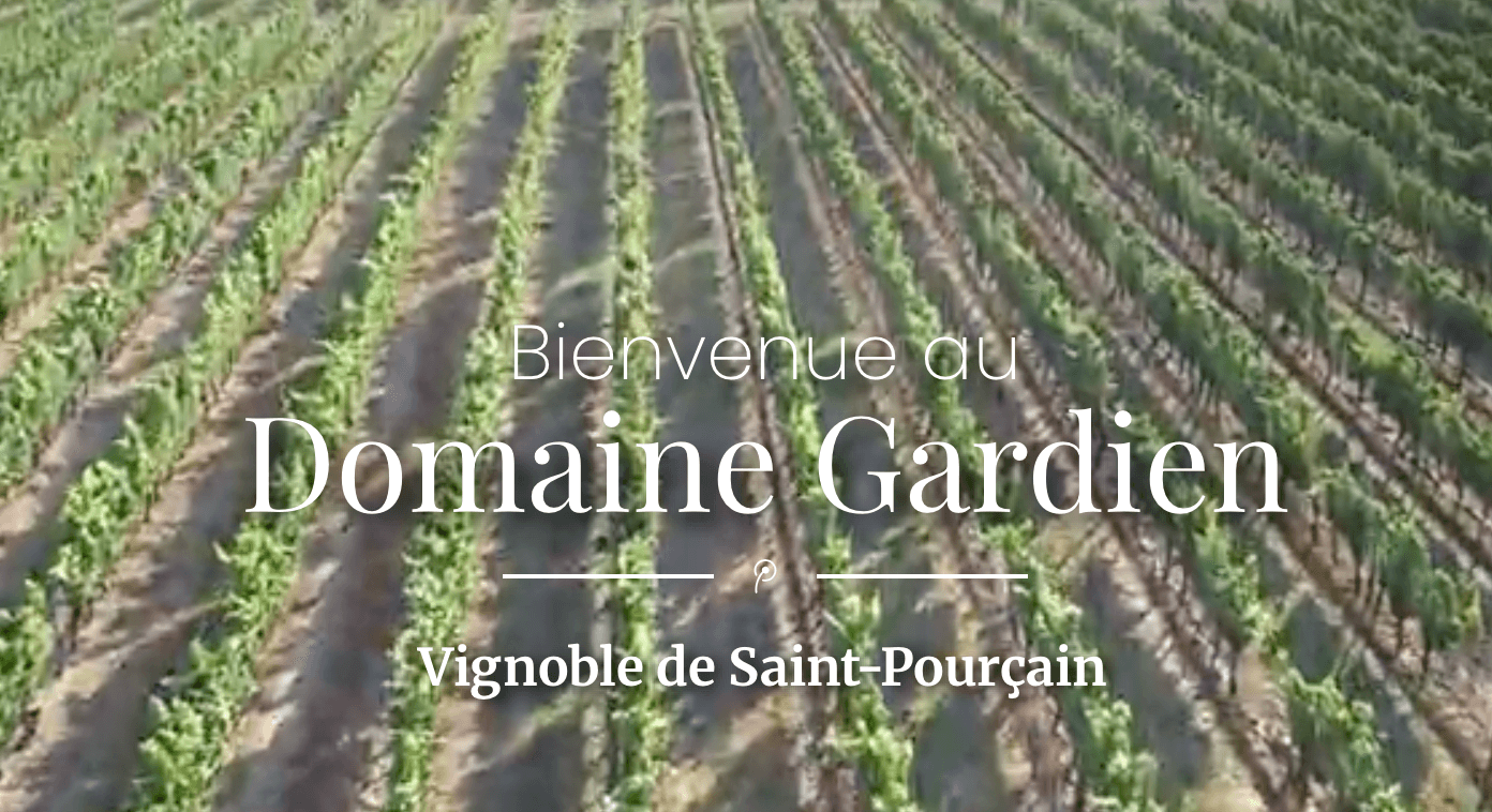 Trophée Gardien
