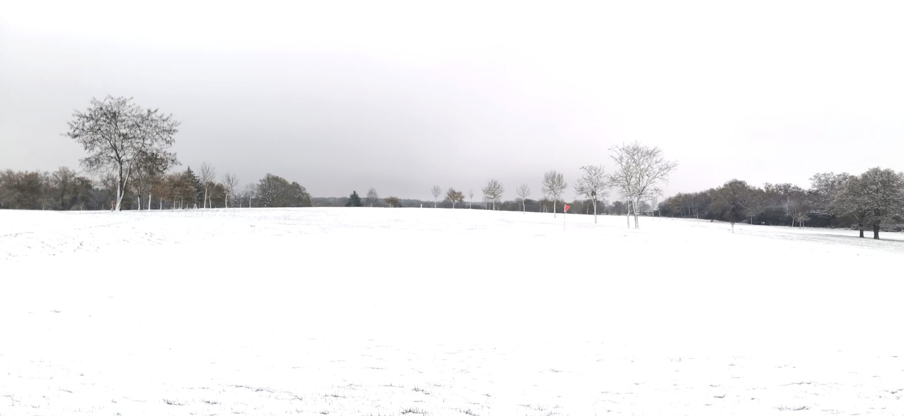 Vive les greens d'hiver