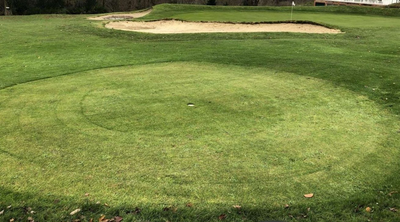 Annulation de la compétition du Beaujolais et passage greens d'hiver