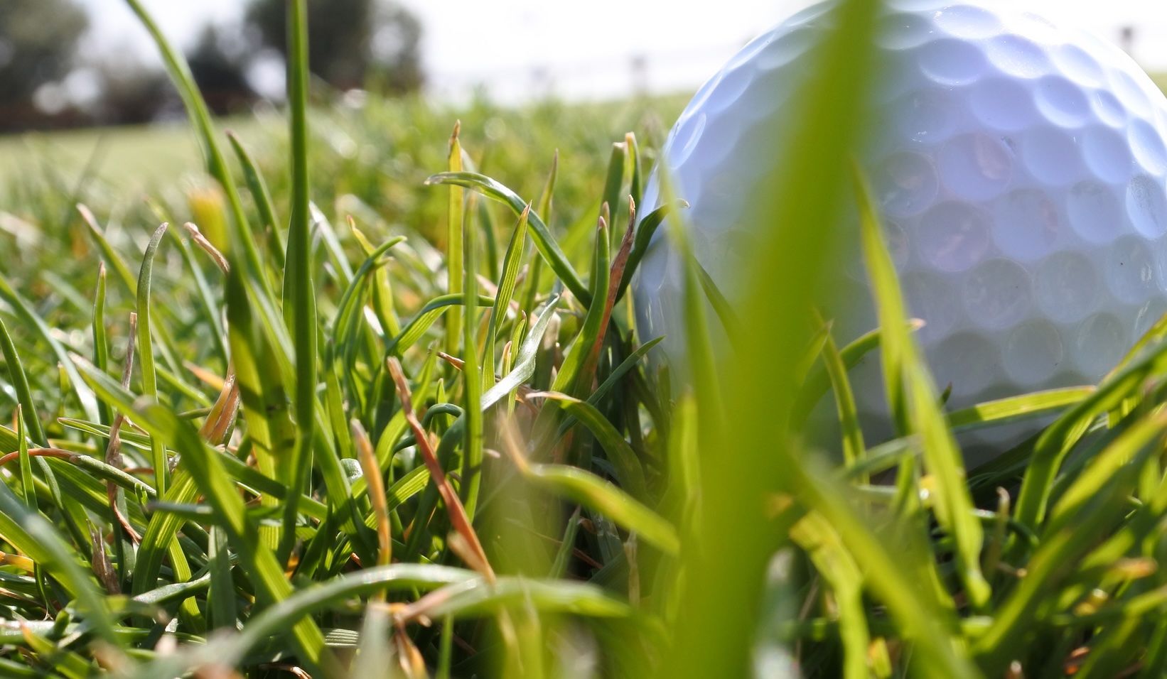 L'assemblée générale de l'association